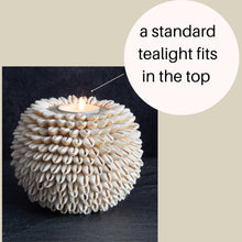 Load image into Gallery viewer, Cowrie Shell Sphere Candle | Tea light Shell Holder
