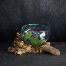 Load image into Gallery viewer, Melted Glass Bowl on a Rustic Wooden Stand
