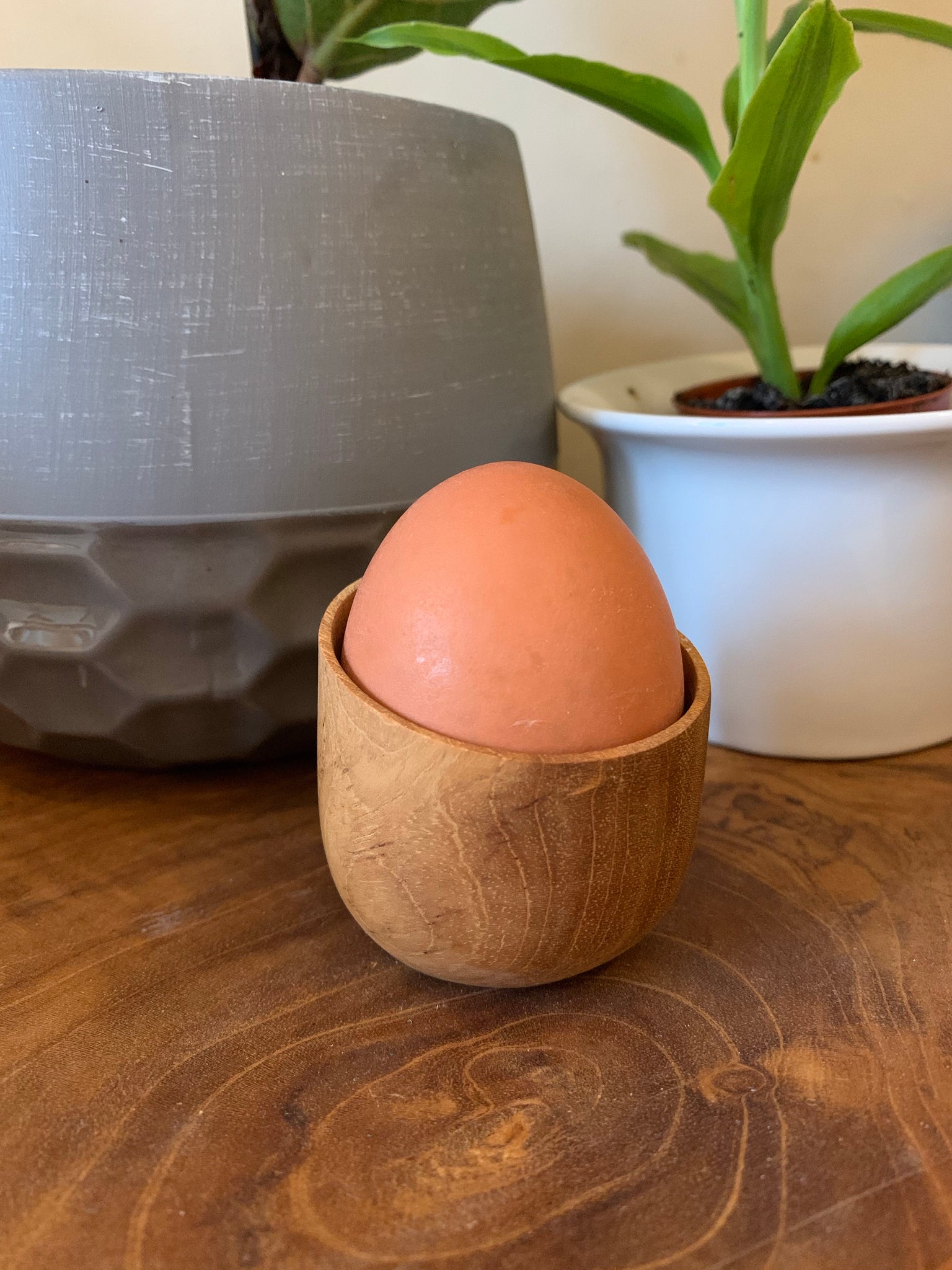 Teak Single Egg Holder